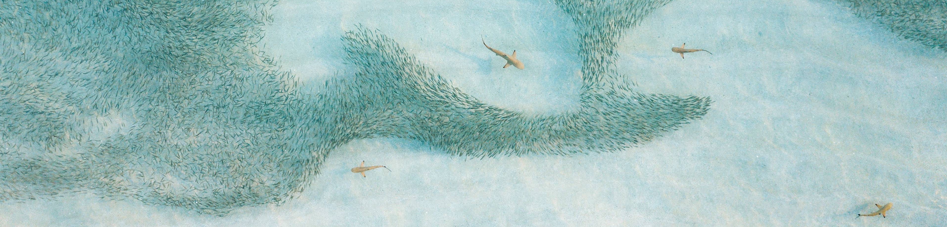 Composition and Aggregation in Object-Oriented Modeling