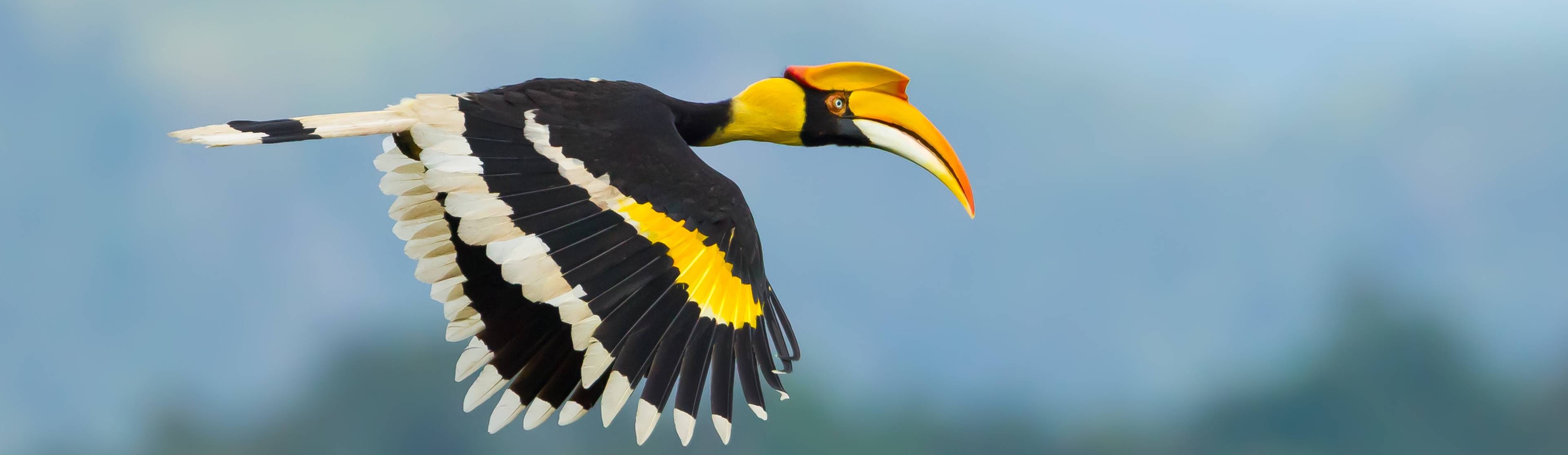 Exploring the useRequest Hook from ahooks