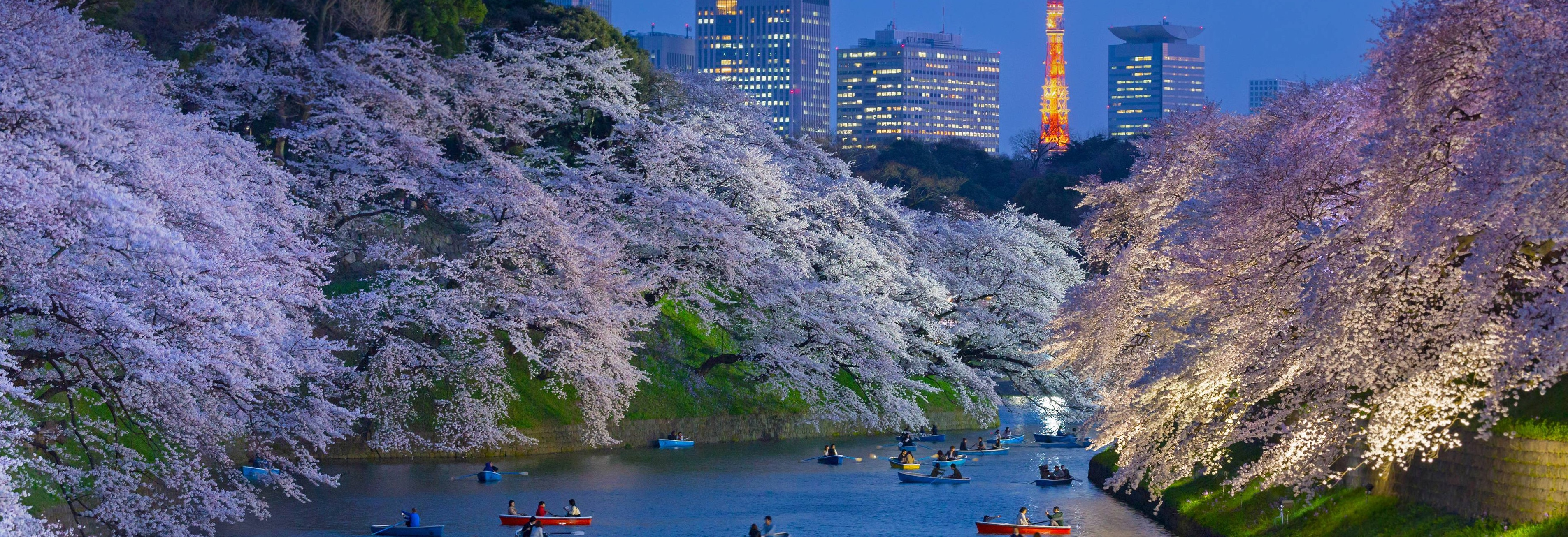 Google マップ内の写真のコメントが表示されない