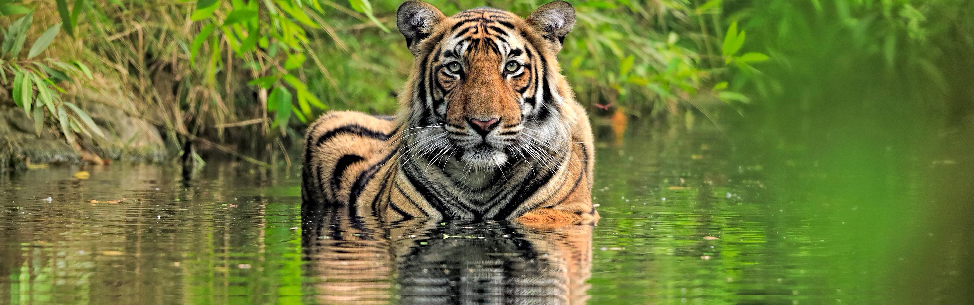 How Guru to use Capturing Groups in Python Regular Expressions