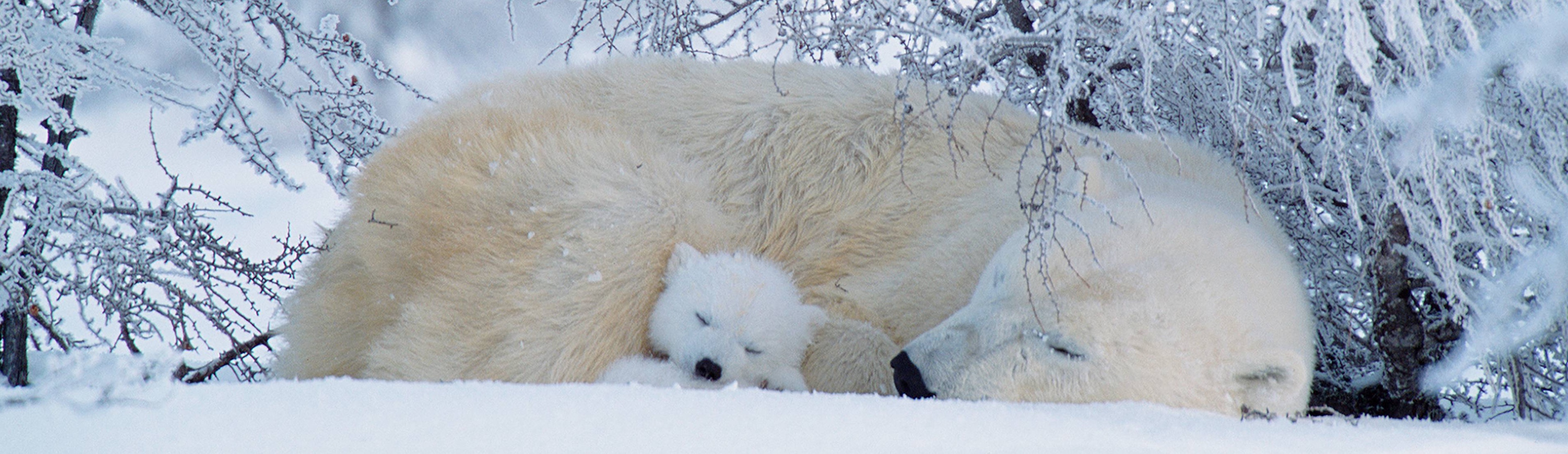 How To Read Jdk Mission Control Report