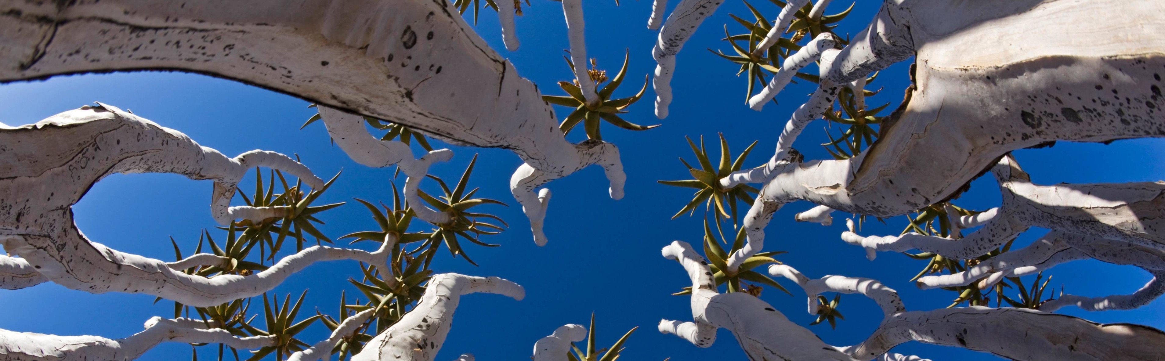 Understanding Python’s Late Binding Behavior  A Deep Dive