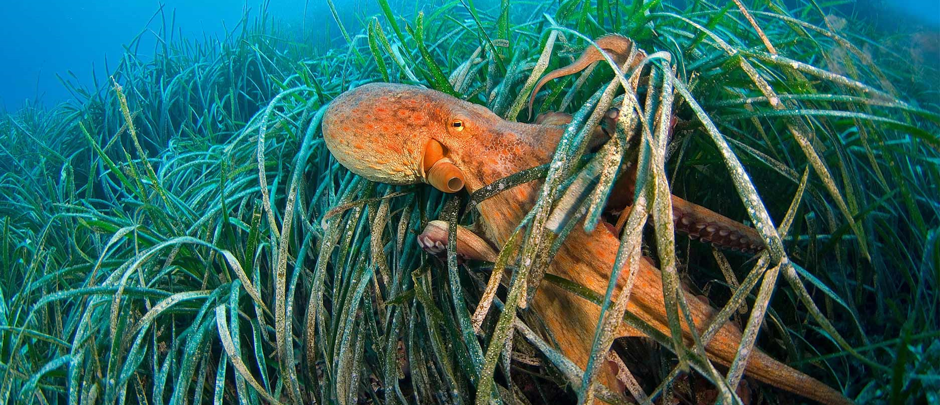 Core Java tips required an interview