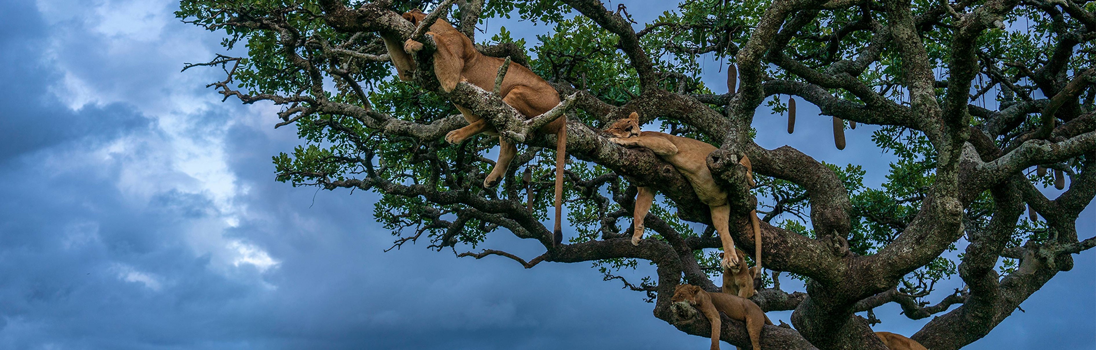 Date Is The Most Ignored Treasure In Macbook