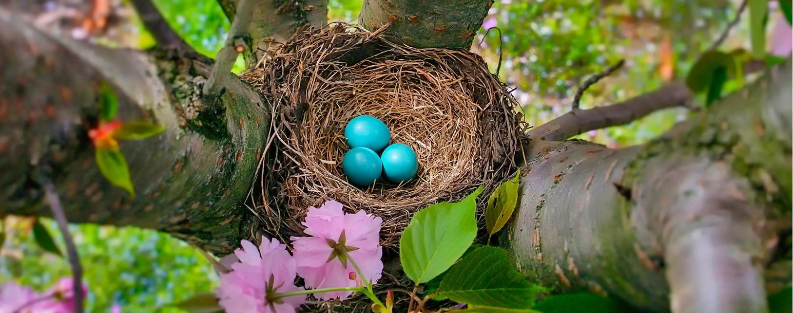 One page to cover most commonly found errors for fat jar in SpringBoot