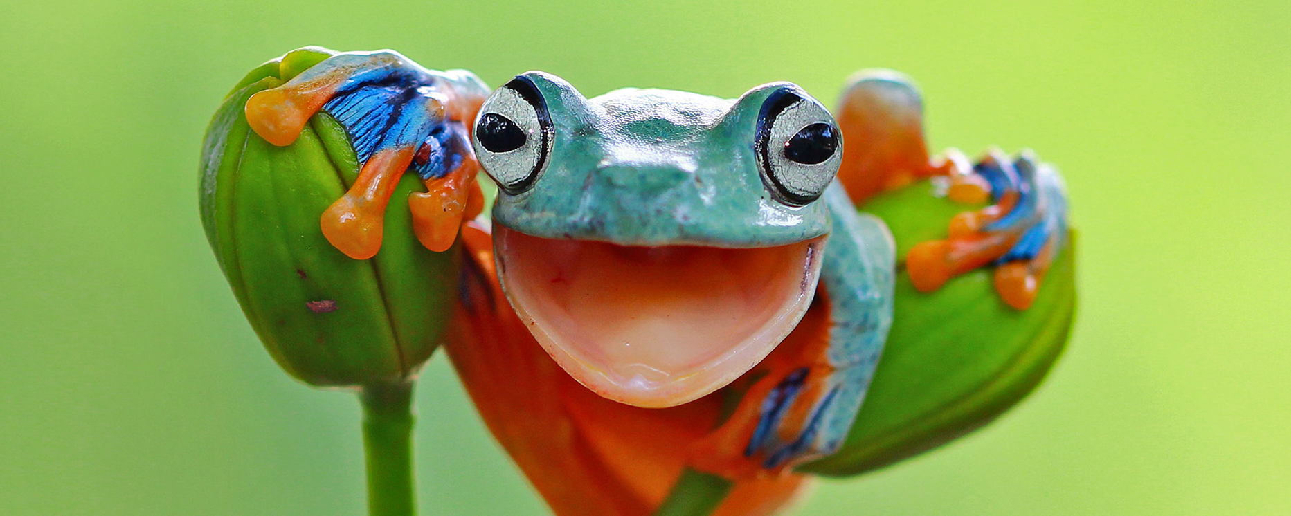 GIT useful scripts or error solutions