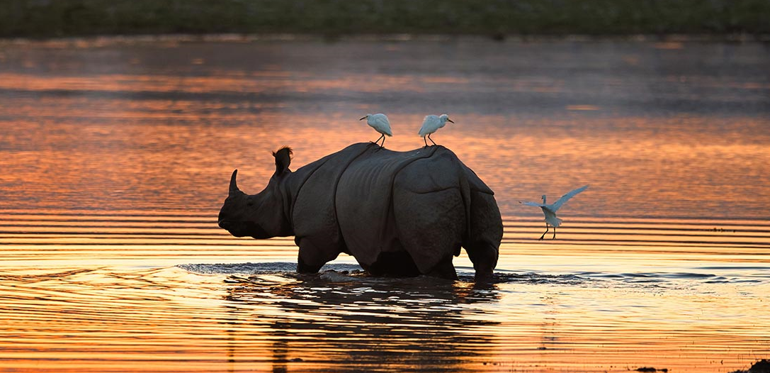 How to ace AWS certification just like play a game