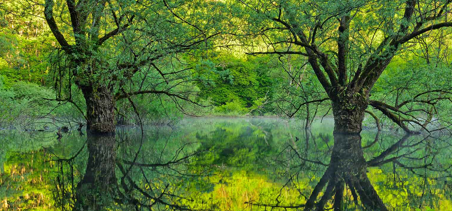 Maven error and solution on No such host is known