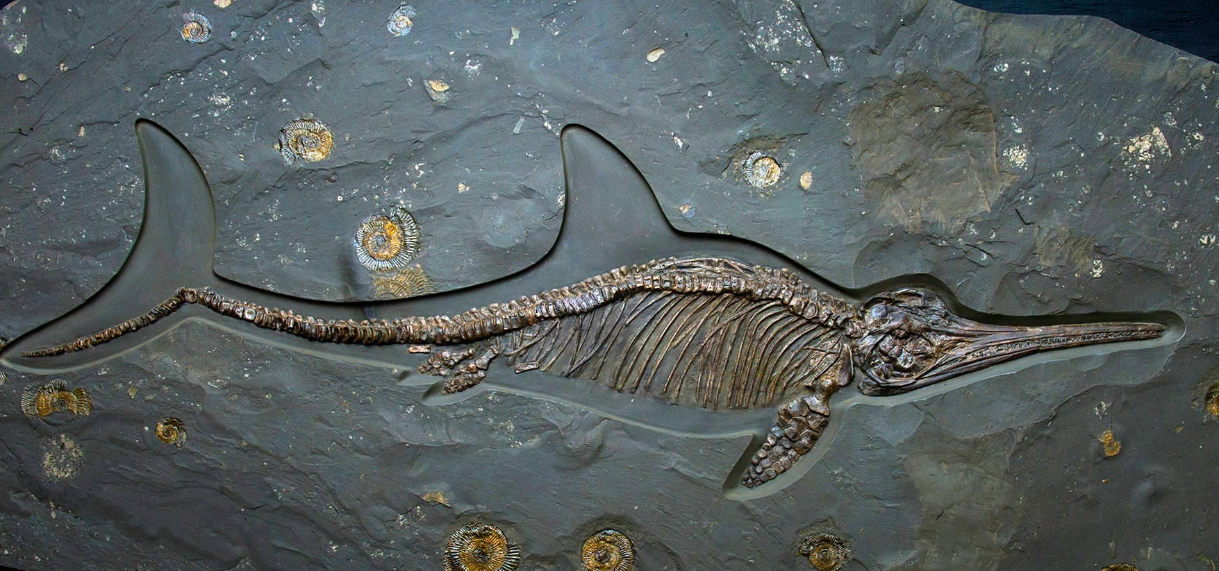 Git commands you can show off for 100 years