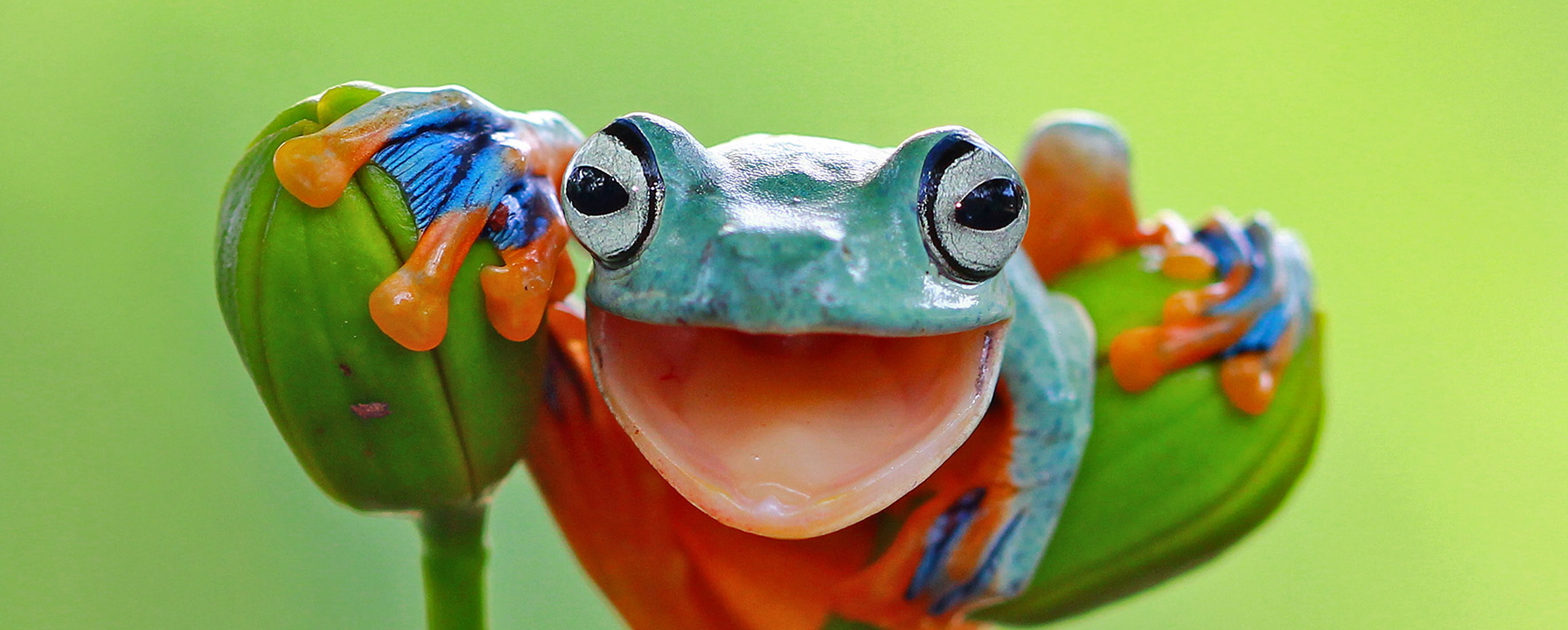 Bible blog for most commonly found Gradle errors