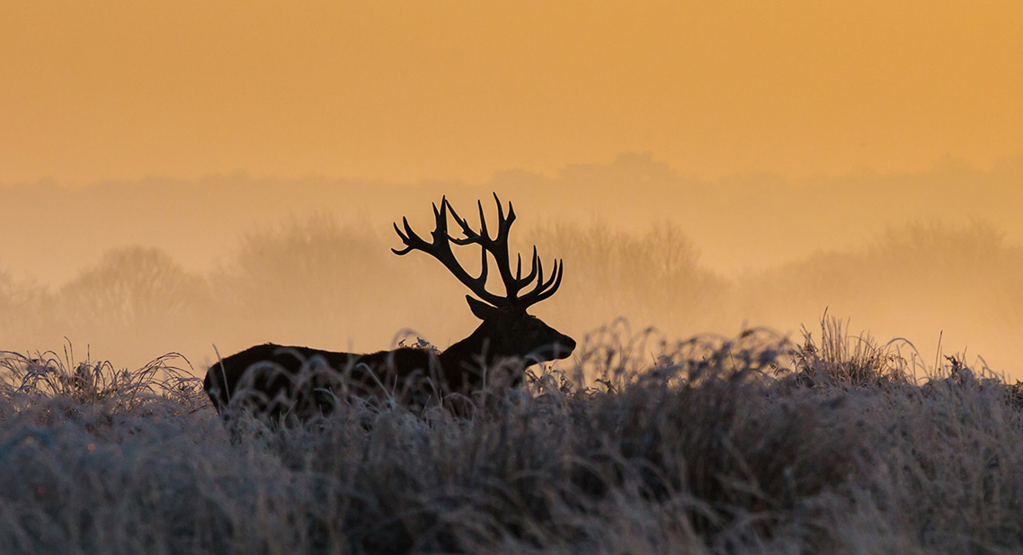 Untold stories for Jupiter, any differences JUnit 5 vs Junit 4