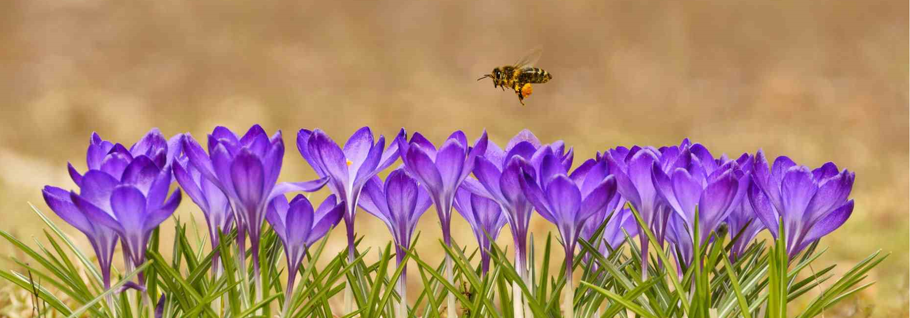 Bamboo pipeline deployment failure caused by Kubenetes Finalizer