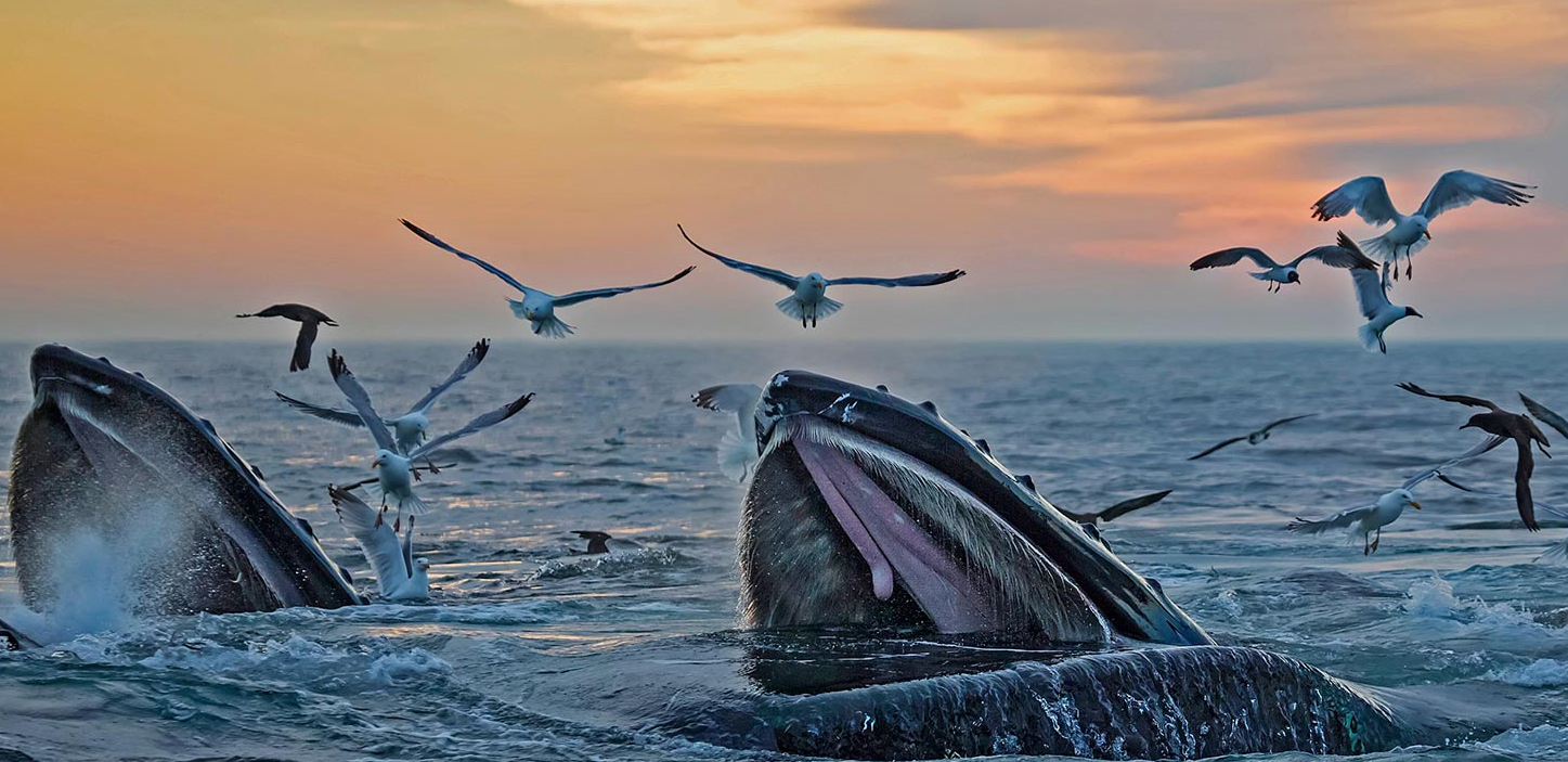 How Windows Line Endings Nearly Sabotaged My SSH Security Setup Windows Line Endings SSH Security