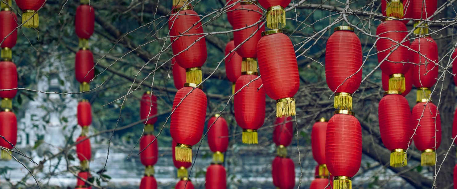 从LIS到Principal思维 算法不是背答案，而是修炼思考方式的武功秘籍