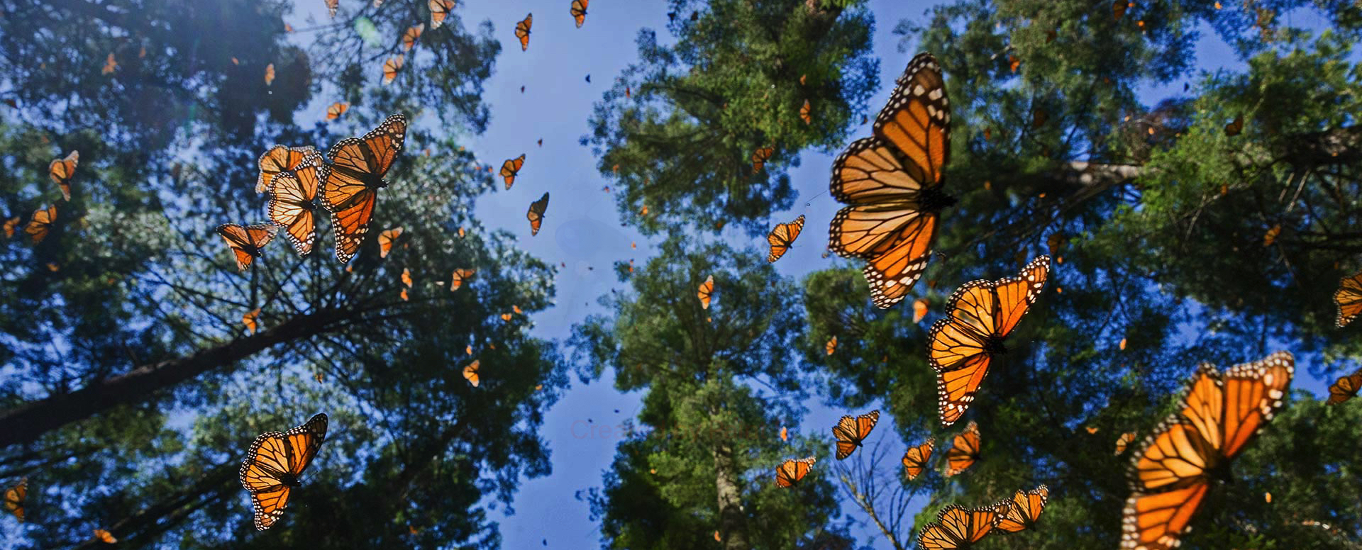 TypeScript noteworthy notes