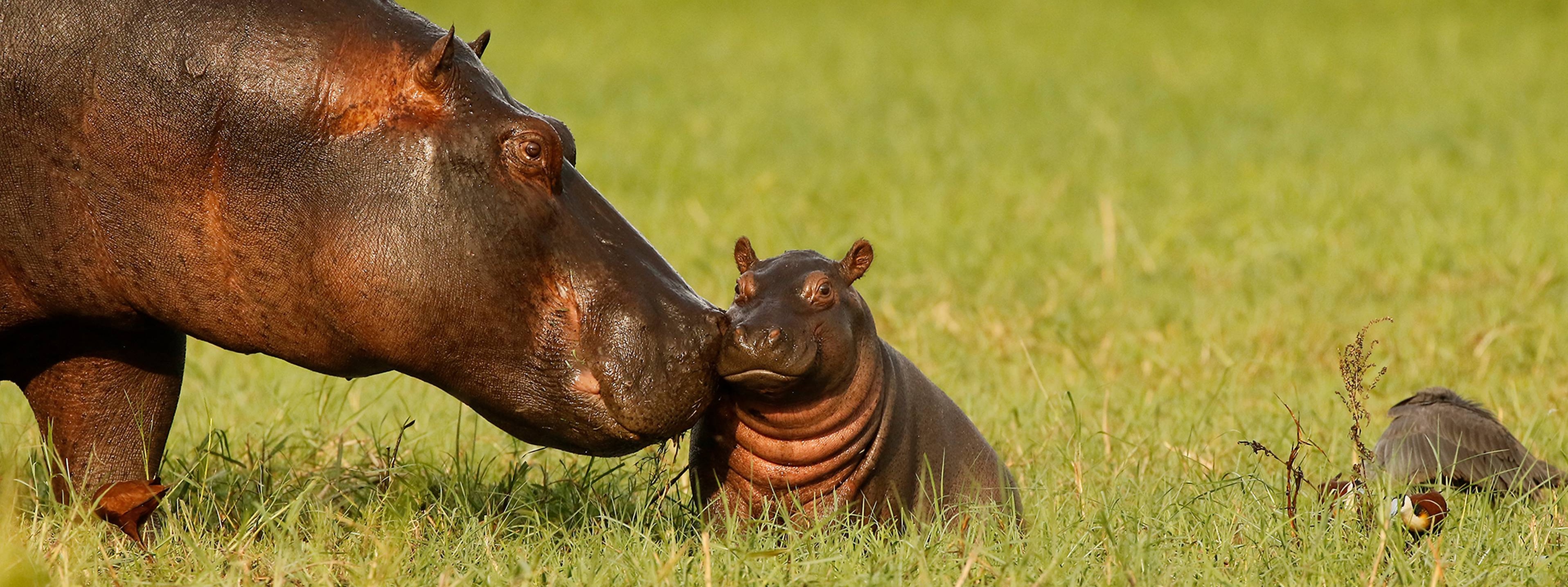 Fix rejection error in Hexo