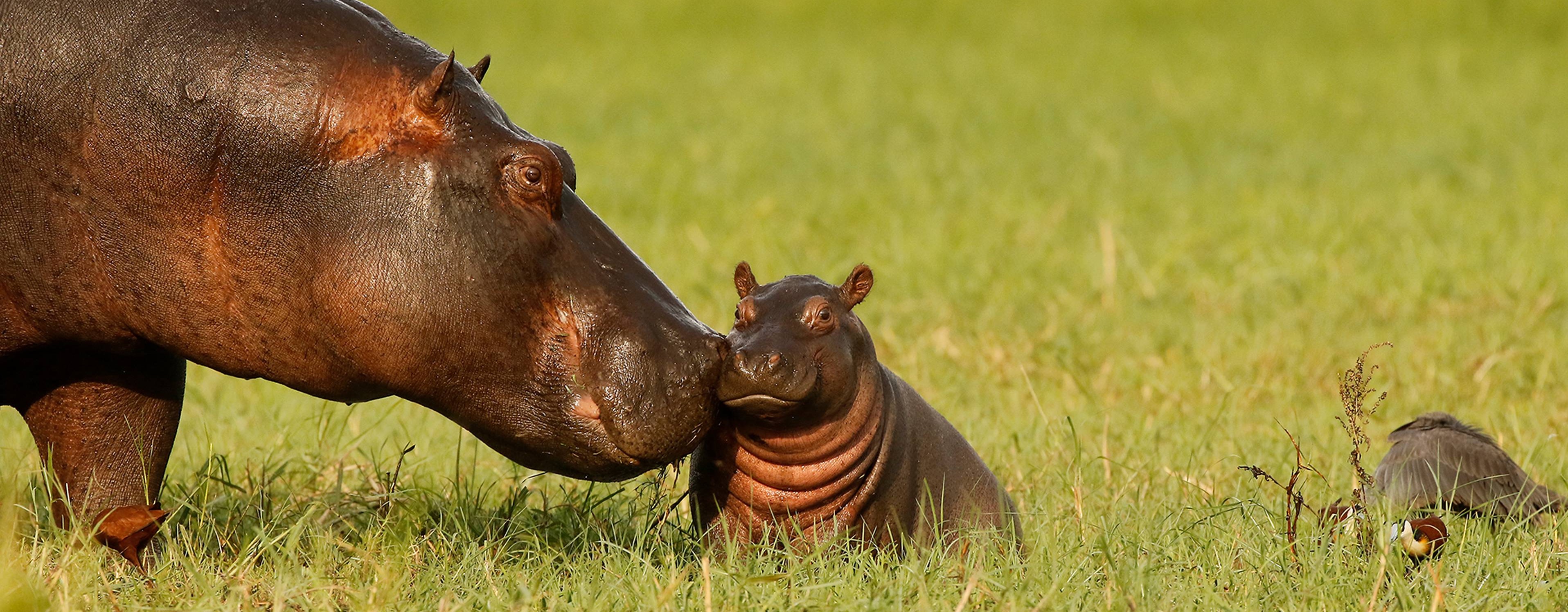 Not just use git but know how git symbolic-ref work