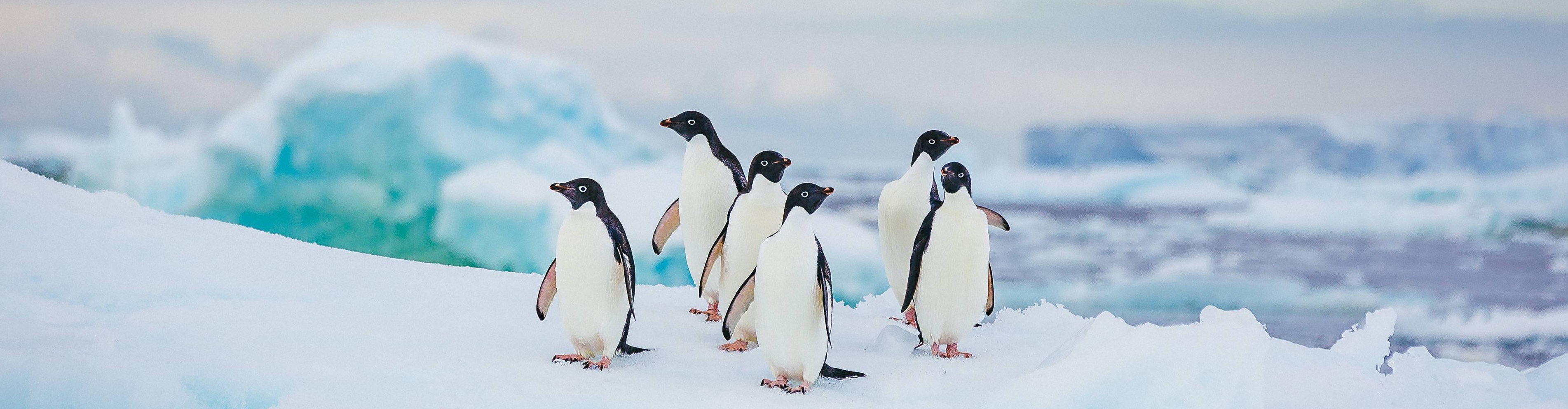 Let AI To Manage Stripe Payment