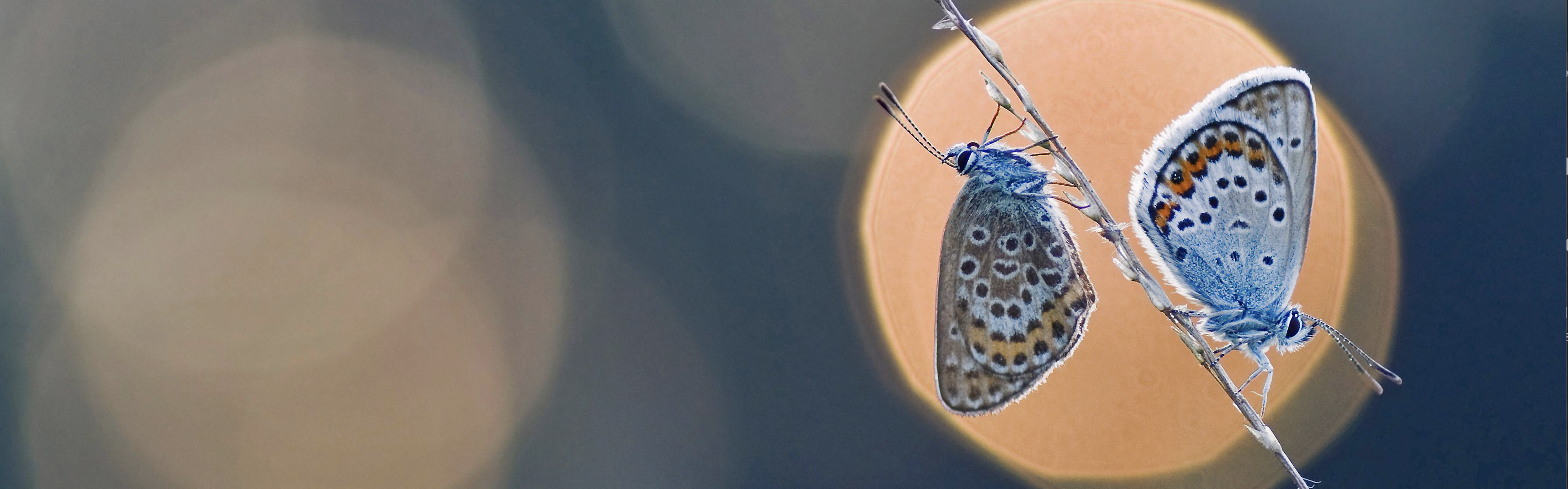 Guide to code productively, get more time back for you