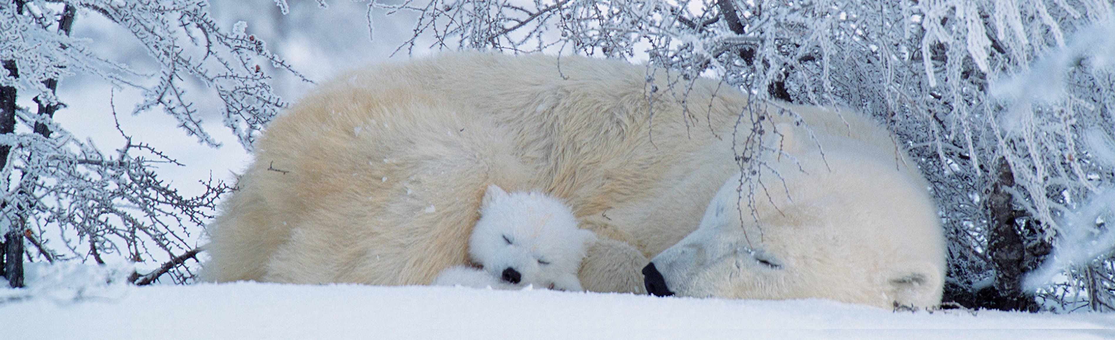 Unlocking Network Secrets A MacBook Traceroute Tutorial