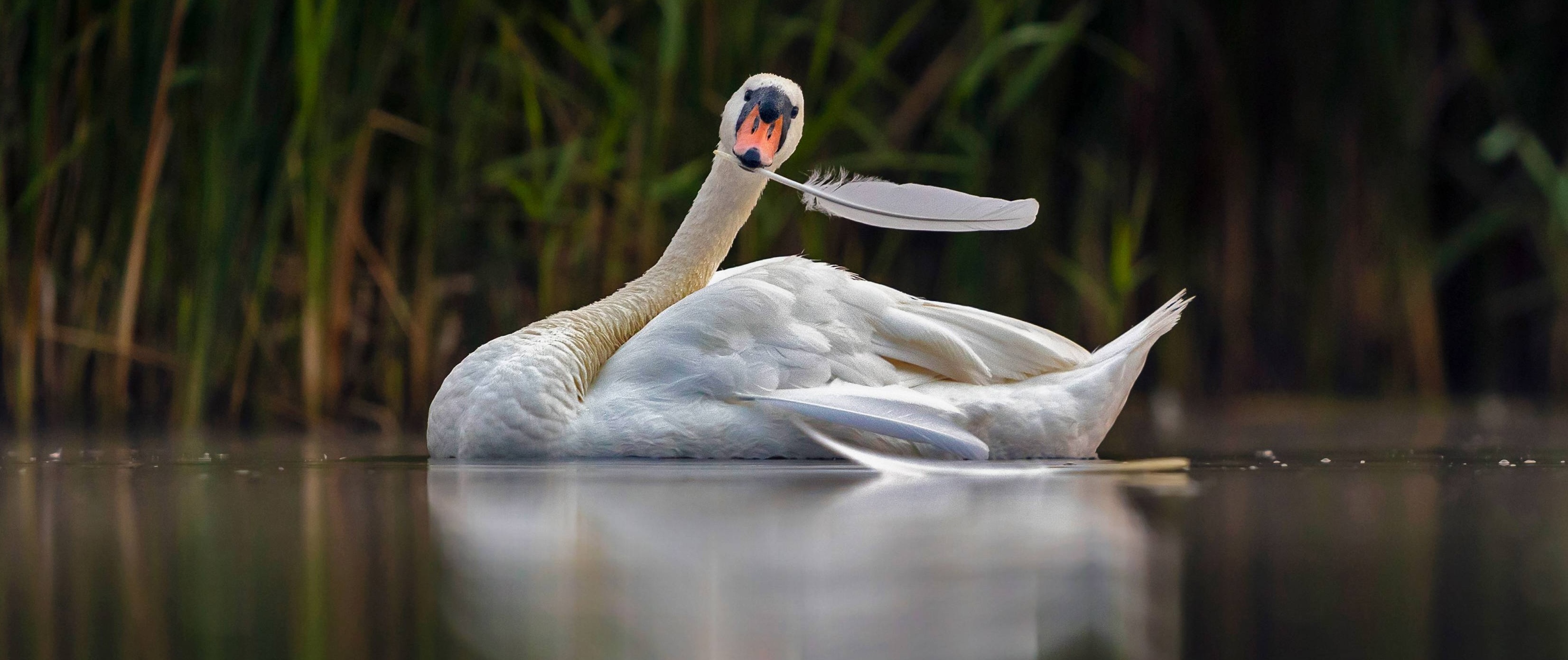 Aewsome Apache yarn Architecture