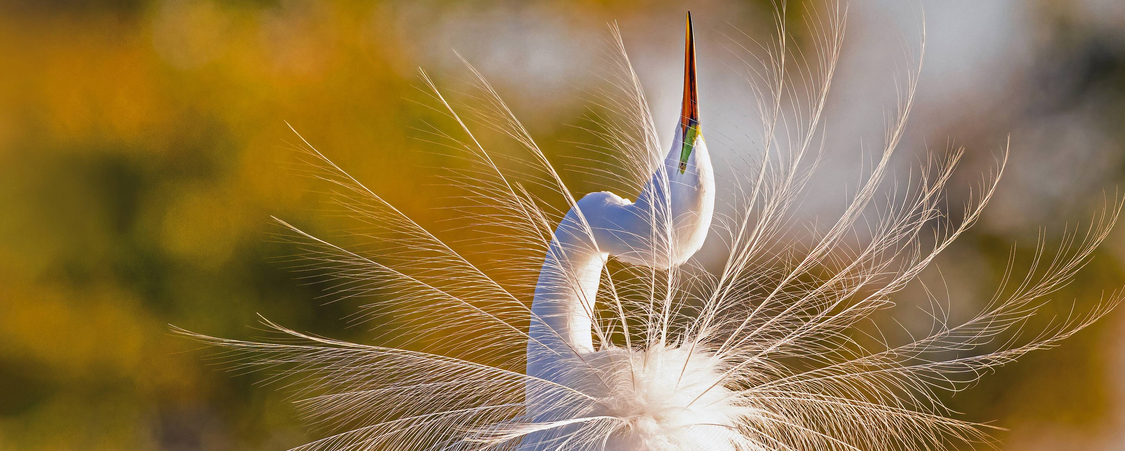 Treasure Bowl for SQL, helpful for your daily database jobs