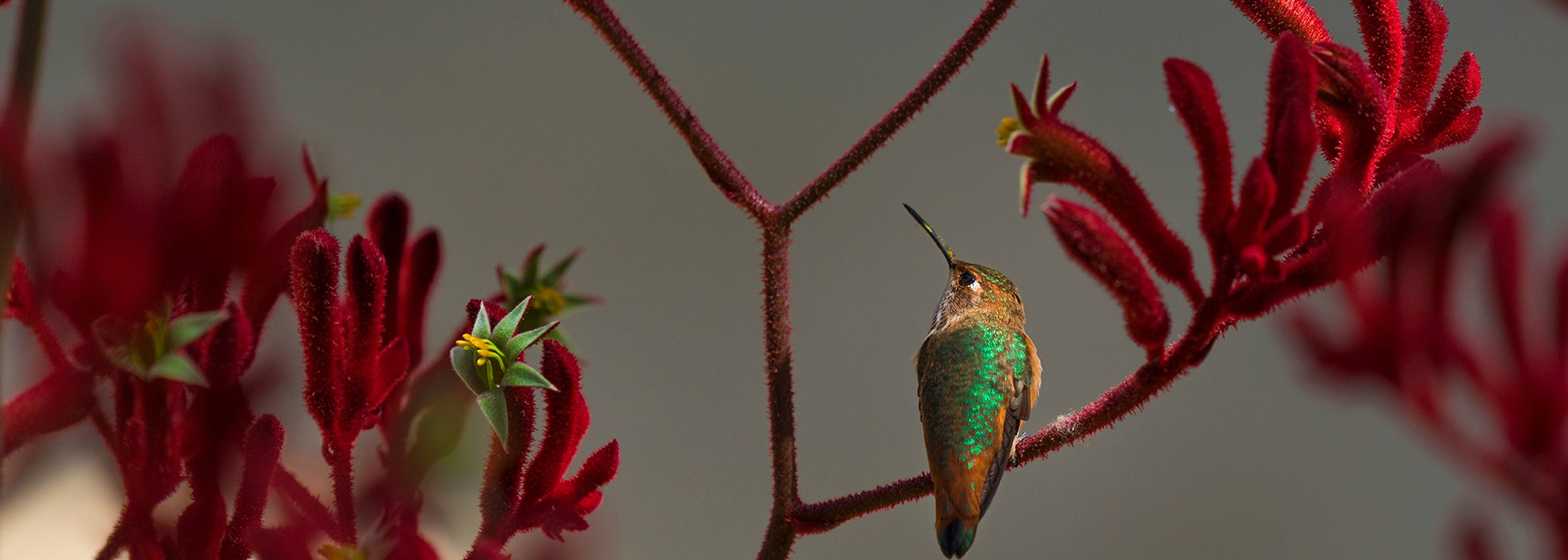 Mastering JQ- The Swiss Army Knife of JSON Processing